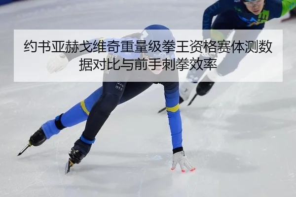 约书亚赫戈维奇重量级拳王资格赛体测数据对比与前手刺拳效率